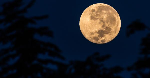 Подгответе се задава се суперснежна Луна която не бива да