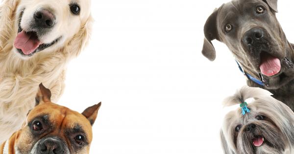 Доста стопани не могат да преживеят мисълта за раздялата с