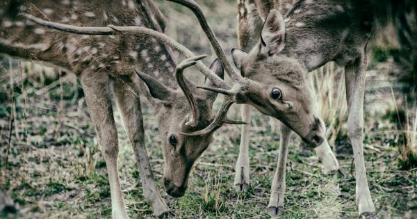 Когато си дете конфликтите се разрешават лесно Само трябва да