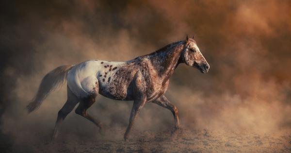 На Земята съществуват над 8 7 милиона вида растения и животни