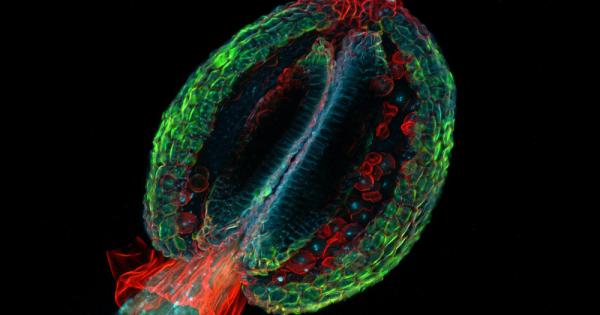 Ако искате да накарате вашия четвъртокласник да заляга повече над