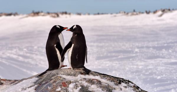 Да хората са способни на истинска привързаност любов и себеотдаване