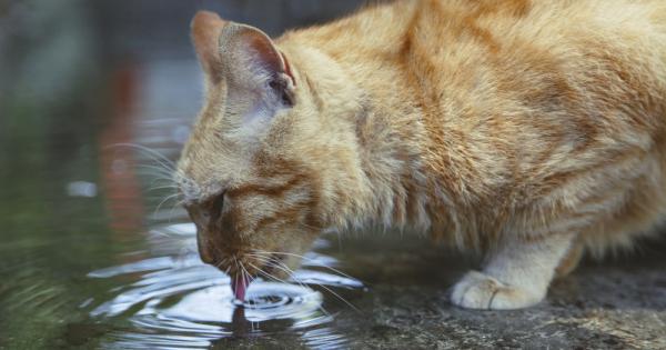 Трябваше да настъпи 21 и век и с работата да се