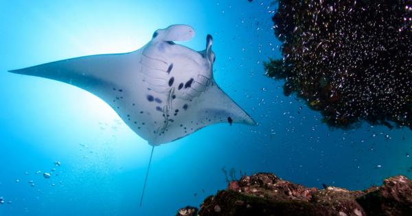 Човек никога не знае на какво ще се натъкне в