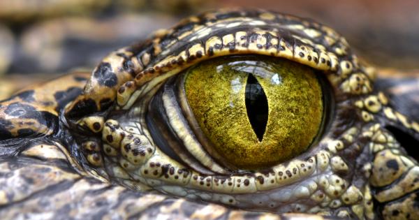 Всеизвестен факт е че хазартът предизвиква вълнение у хората ускорява