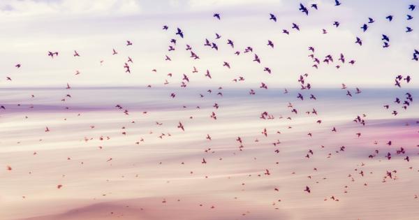 Европейската комисия единодушно реши на заседание в сряда да не преразглежда