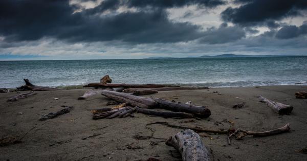 Случаят Тамам Шуд е смятан за една от най големите мистерии