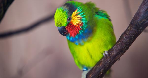 Жена от САЩ беше призната за виновна в убийството на