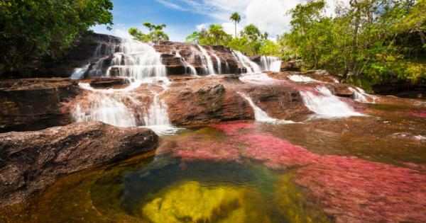 Каньо Кристалес смятана за най красивата река в света се намира