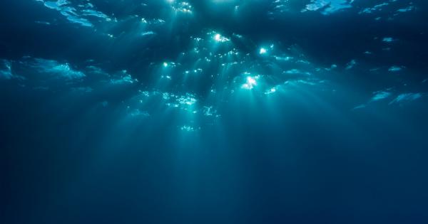 Марианската падина – най дълбоката точка на океанското дъно – е
