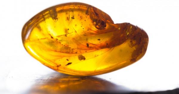 Случаите в които учени са открили динозавърска кръв запазена в