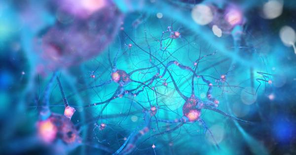 Учените откриха нов механизъм който контролира начина по който нерврните
