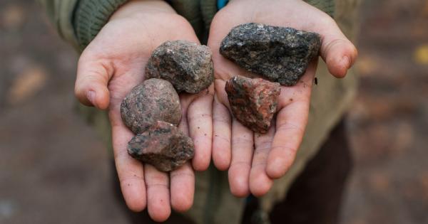 Пика е хранително разстройство характеризиращо се с желанието да се