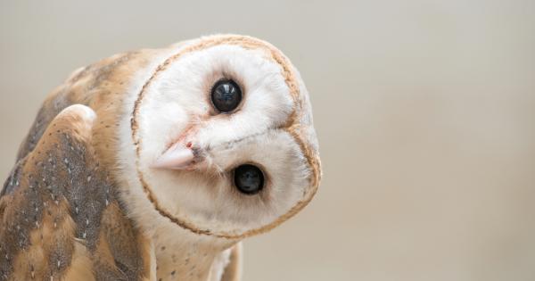 Милиони хора по света твърдят че са видели извънземни Голям