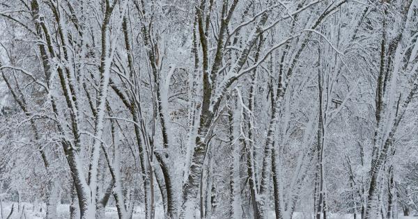 Преди стотина години приблизително 15 от нашата планета е била