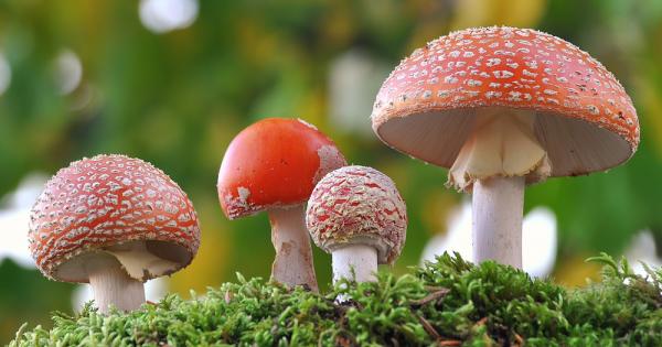 Ново научно изследване установи че комбинираната терапия на депресията с