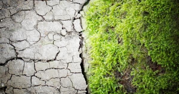 Каква е разликата между вас и скалата Вероятно този въпрос