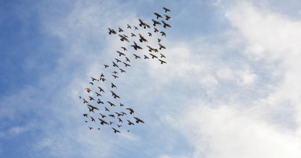 Лондон  Повишаването на глобалната температура води до по ранна миграция на птиците