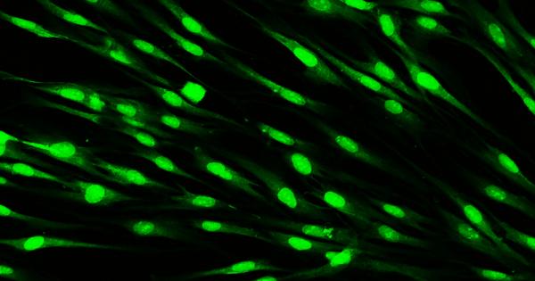 Ако някога ви се е налагало да гаврътнете голяма чаша