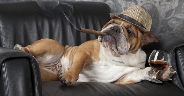 Учени свързаха по високата интелигентност със способността за черен хумор като