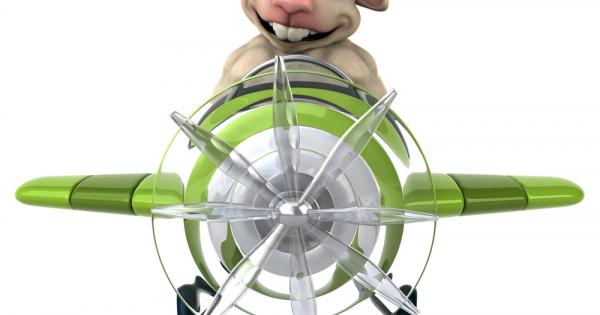 Служители на авиокомпания Пакистан интернешънъл еърлайнс принесоха в жертва козел