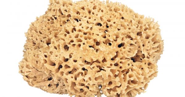 Най мръсното място в дома не е тоалетната чиния както повечето