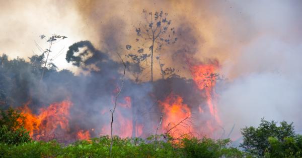 В деня на Амазония природозащитната организация WWF предупреждава че опустошителните
