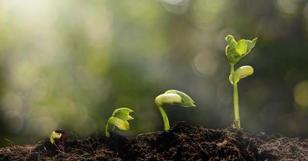 Какво се случва с милионите използвани пластмасови бутилки Колко пъти