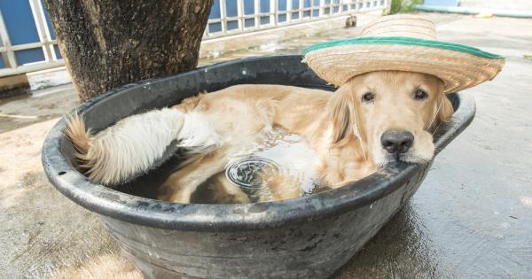 Списание Time публикува няколко полезни съвета как да помогнем на