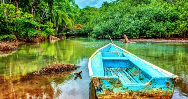 Самолетчето прилича на детска играчка Изрисувано е с шарени папагали