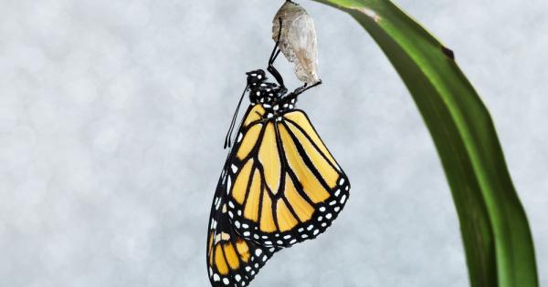 Смятате ли че хората не могат да се променят Все