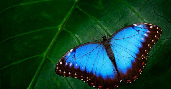 Някога отдавна в древен свещен храм учителят предавал неуморно своята мъдрост