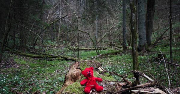 Хрониките разказват за любопитен инцидент станал в покрайнините на малкото