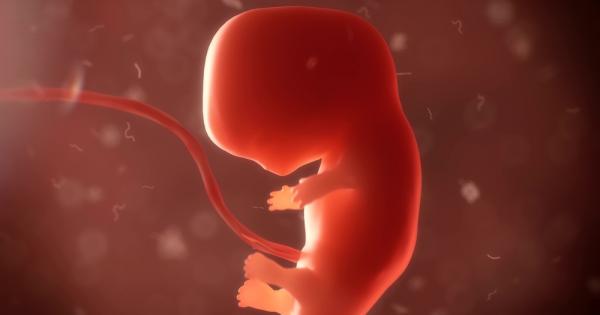 За първи път в историята на медицината две майки износиха