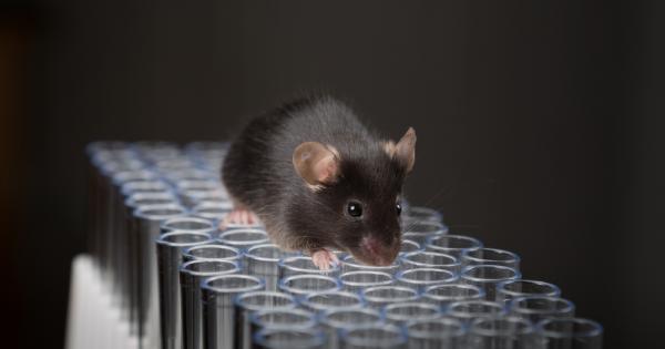 Японски изследователи успяха успешно да клонират мишка от капка кръв