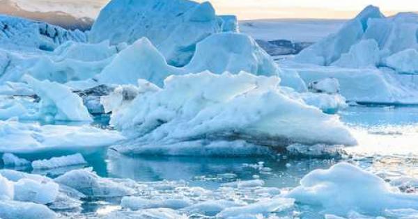Учени алармират че Северният полюс изчезва пише Мениджър Нюз Нивата