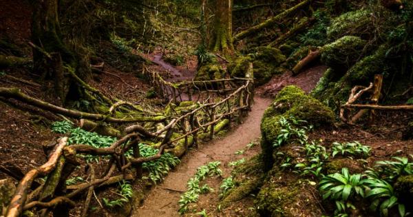 В тази история се разказва за един прочут хасидски равин