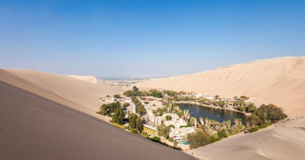 Голям керван преминавал през пустинята Пътниците достигнали до оазис в