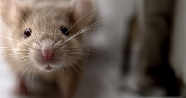 Два различни научни екипа съобщиха че са превърнали клетки от