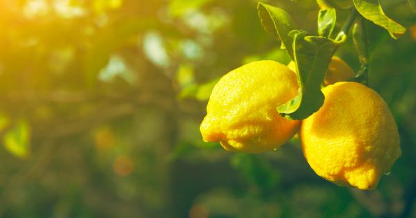 5 минути Изключително малък период от време Те обаче ще