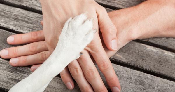 Науката потвърждава че не заслужаваме да имаме куче Досега се