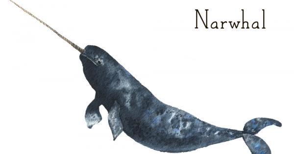 Кадри заснети с дрон разкриха нещо което никой преди това