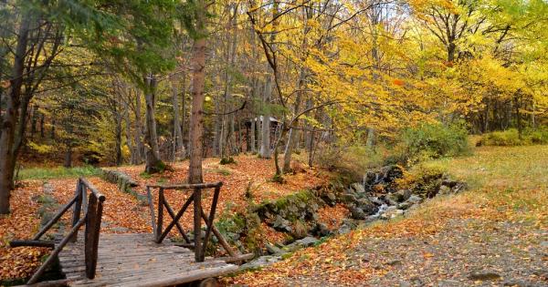 И Витоша си има своите очи Бяхме ги позабравили защото