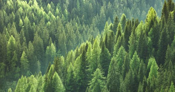 Горите са дом на всеки 8 от 10 сухоземни вида