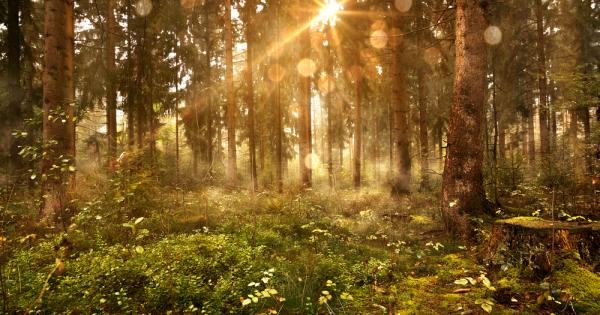 Понякога е полезно да надникнем в дебрите на нашето подсъзнание
