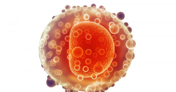 Американски учени откриха стволови клетки в яйчниците които са способни