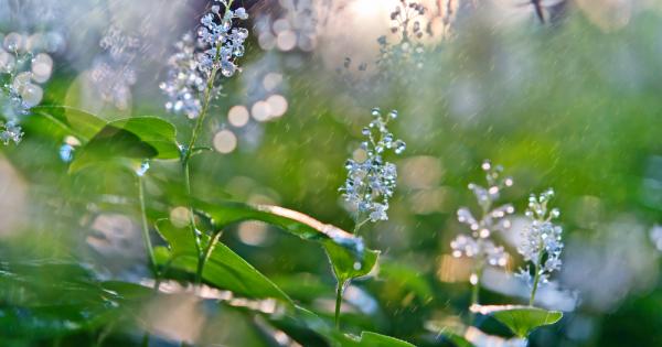 Екип от Института по технологии в Джорджия засне сблъсъка на