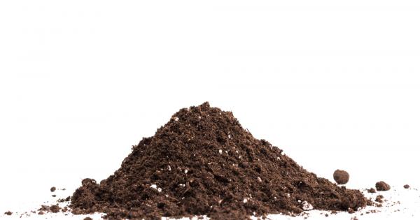 С малки уши и практически слепи къртиците търсят своята любима