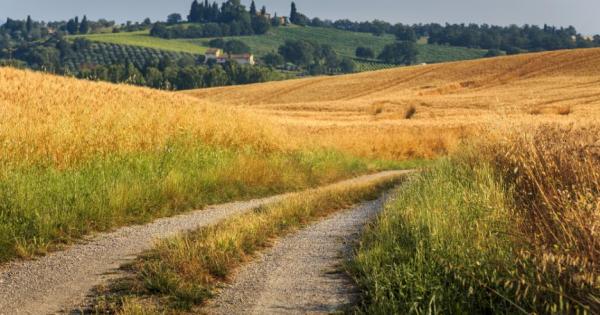 Вървял един човек из полето Минал покрай един селянин и