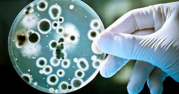 Candida auris спокойно може да се нарече първата смъртоносна гъбичка